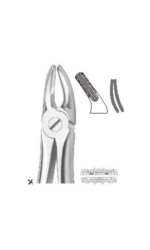 Extracting forceps english pattern