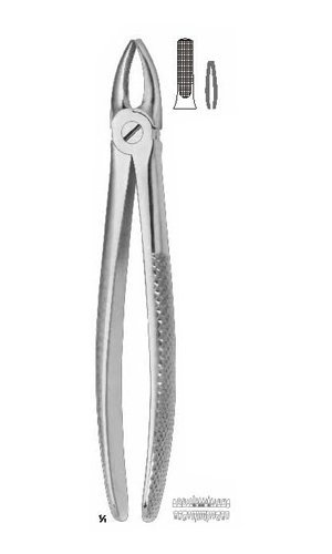 Extracting forceps Fino