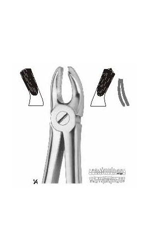 Extracting forceps Fino