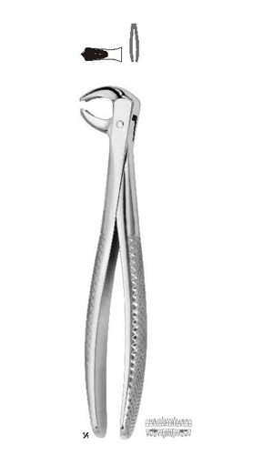Extracting forceps Fino