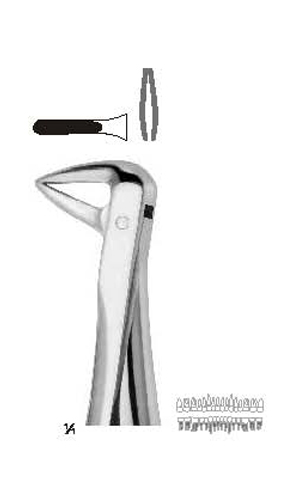 Extracting forceps Fino