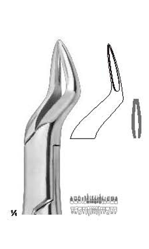 Extracting forceps , Amirican pattern