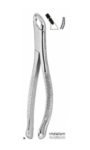 Extracting forceps , Amirican pattern