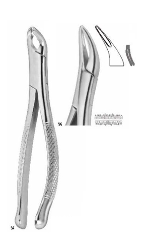 Extracting forceps , Amirican pattern