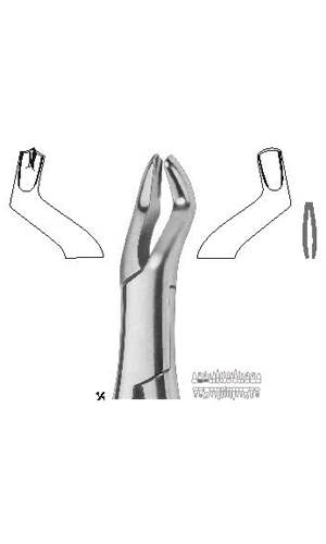 Extracting forceps , Amirican pattern
