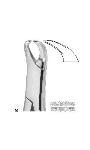 Extracting forceps , Amirican pattern