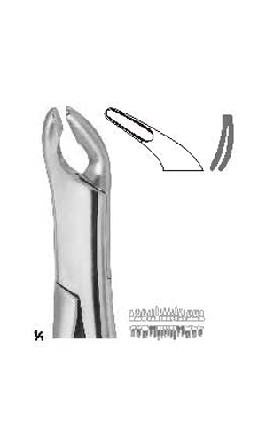 Extracting forceps, American pattern