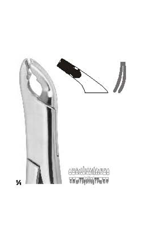Extracting forceps, American pattern
