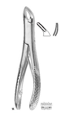 Extracting forceps, for children , American pattern