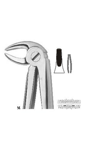 Extracting Forceps (English Pattern)