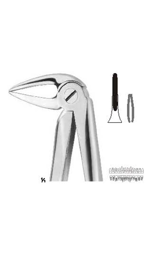 Extracting Forceps (English Pattern)