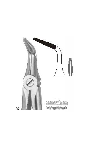 Extracting Forceps (English Pattern)