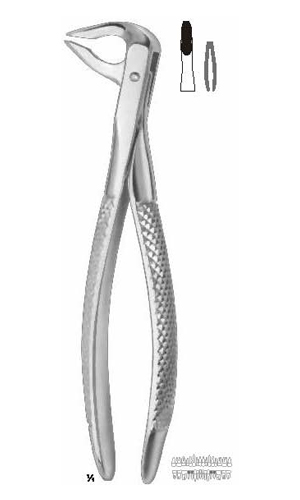 Extracting Forceps (English Pattern)