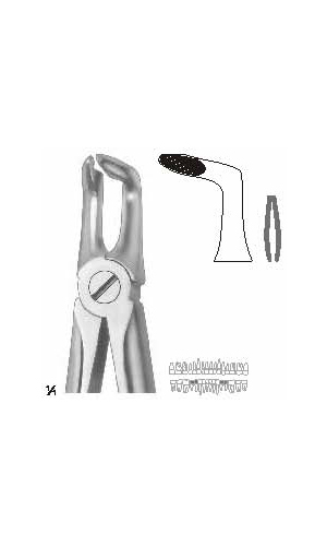 Extracting Forceps (English Pattern)