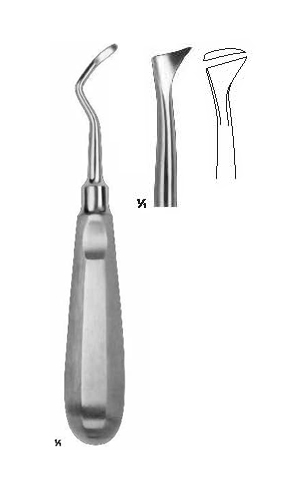 Root Elevators